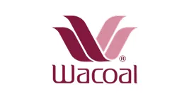 ลูกค้ากลุ่มองค์กรธุรกิจและภาครัฐ (Enterprise Clients)