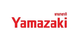 ลูกค้ากลุ่มองค์กรธุรกิจและภาครัฐ (Enterprise Clients)