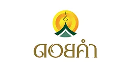 ลูกค้ากลุ่มองค์กรธุรกิจและภาครัฐ (Enterprise Clients)